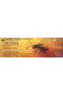 PANTONERA INSECTOS DE CHILE1