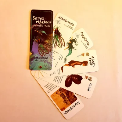 PANTONERA SERES MAGICOS ECOSISTEMA ACUATICO1