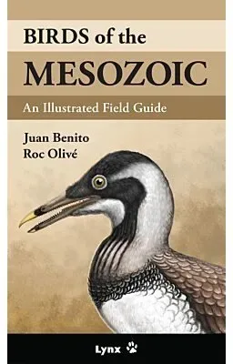 BIRDS OF THE MESOZOIC1