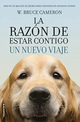 LA RAZON DE ESTAR CONTIGO UN NUEVO VIAJE1