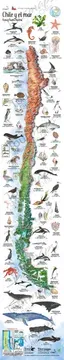 MAPA ILUSTRADO CHILE Y EL MAR1