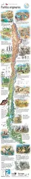 MAPA ILUSTRADO CHILE PUEBLOS ORIGINARIOS1