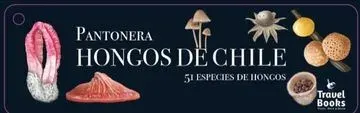 PANTONERA HONGOS DE CHILE1