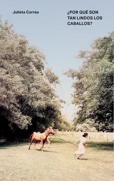 POR QUE SON TAN LINDOS LOS CABALLOS1