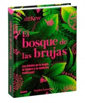 BOSQUE DE LAS BRUJAS1