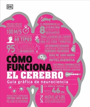 CÓMO FUNCIONA EL CEREBRO1