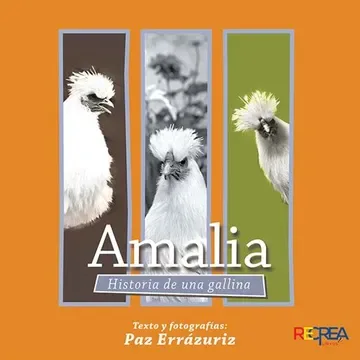 AMALIA HISTORIA DE UNA GALLINA1