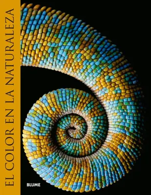 EL COLOR EN LA NATURALEZA1