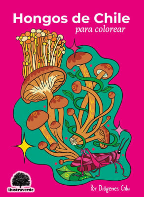 HONGOS DE CHILE PARA COLOREAR1