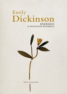 HERBARIO & ANTOLOGIA BOTANICA1