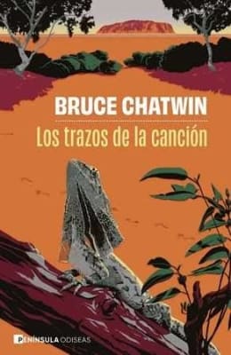 LOS TRAZOS DE LA CANCION1