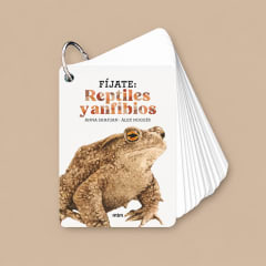 FIJATE: REPTILES Y ANFIBIOS
