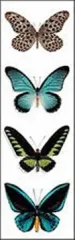 MARCAPAGINA BUTTERFLIES II