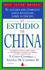 EL ESTUDIO DE CHINA