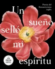 UN SUEÑO SELLO MI ESPIRITU