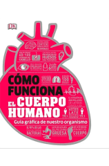 COMO FUNCIONA EL CUERPO HUMANO