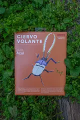 ARMABLE CIERVO VOLANTE - DISEÑO AZUL