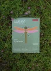 ARMABLE LIBELULA MATAPIOJOS - DISEÑO AMANECER