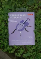 ARMABLE ESCARABAJO BORRACHITO - DISEÑO MORADO