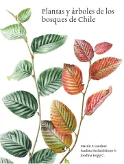 PLANTAS Y ARBOLES DE LOS BOSQUES DE CHILE