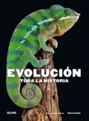 EVOLUCION TODA LA HISTORIA