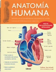 ANATOMIA HUMANA
