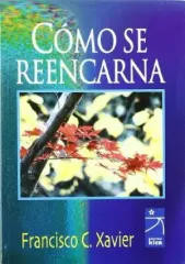 COMO SE REENCARNA