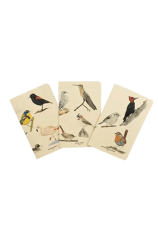 LIBRETA DE NOTAS AVES VARIEDADES