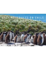 CALENDARIO 2025 AVES AUSTRALES EN CHILE