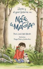 LLUVIA Y EL GATO LINTERNA. NACE LA MAGIA