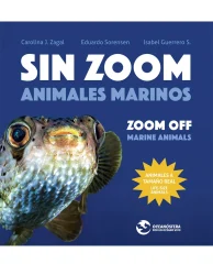 SIN ZOOM