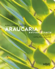 ARAUCARIA EXTRAORDINARIA