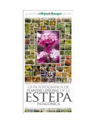 GUIA DESPLEGABLE - PLANTAS LEÑOSAS DE LA ESTEPA PATAGONICA