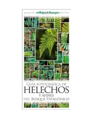 GUIA DESPLEGABLE - HELECHOS Y AFINES DEL BOSQUE PATAGONICO