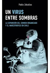 UN VIRUS ENTRE SOMBRAS
