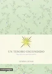 UN TESORO ESCONDIDO