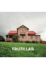 FRUTILLAR CASAS ALEMANAS