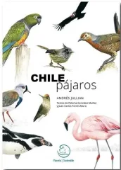 CHILE PAJAROS
