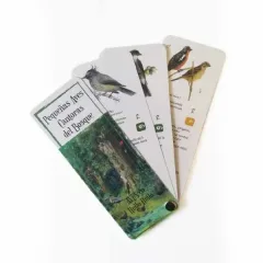 PANTONERA PEQUEÑAS AVES CANTORAS DEL BOSQUE
