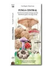 GUIA DESPLEGABLE FUNGA CENTRAL
