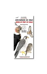 GUIA DESPLEGABLE AVES RAPACES DE CHILE