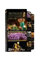 GUIA DESPLEGABLE HONGOS DE CHILOE