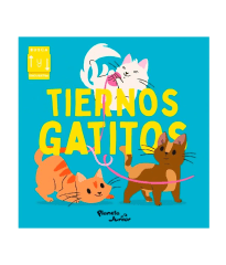 TIERNOS GATITOS