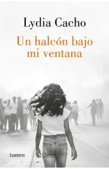 UN HALCON BAJO MI VENTANA