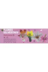 PANTONERA FLORES SILVESTRES DE CHILE CENTRAL