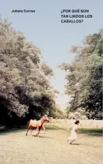 POR QUE SON TAN LINDOS LOS CABALLOS