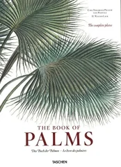 MARTIUS - THE BOOK OF PALMS