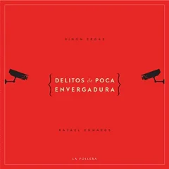 DELITOS DE POCA ENVERGADURA