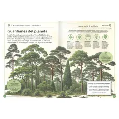 EL MAGNIFICO LIBRO DE LOS ARBOLES
