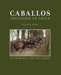 CABALLOS CRIADEROS EN CHILE